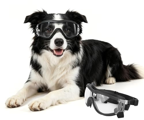 PETLESO Lunettes de Soleil pour Chien avec Protection UV, Adaptées Aux Grandes Rces, Transparentes, Taille L