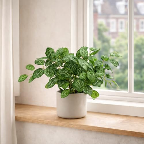 Botanik 40cm Artificial Variegated Pothos Plant