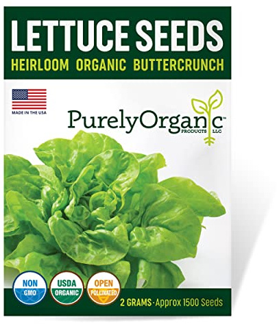 Organic Lettuce Seeds (Heirloom Buttercrunch) - Approx 1500 Seeds - Certified Organic, Non-GMO, Open Pollinated, Heirloom, USA Origin