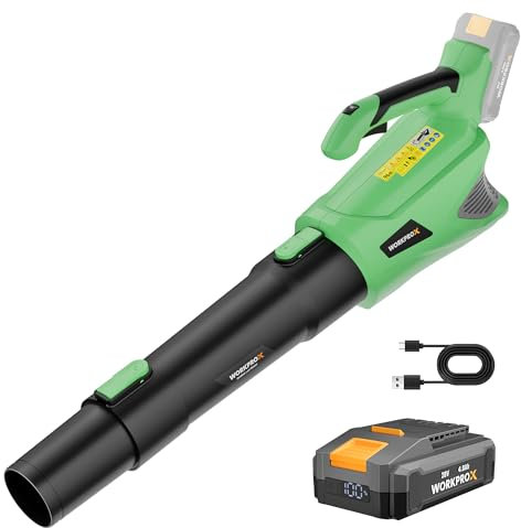 WORKPROX Souffleur de Feuilles Axial sans Fil 20V, Souffleur à Batterie 4,0 Ah avec Chargeur, Vitesse d'air Maximale 144 km/h et Capacité 850 m³/h, 5 Vitesses Réglables, pour Jardins Allées Terrasses