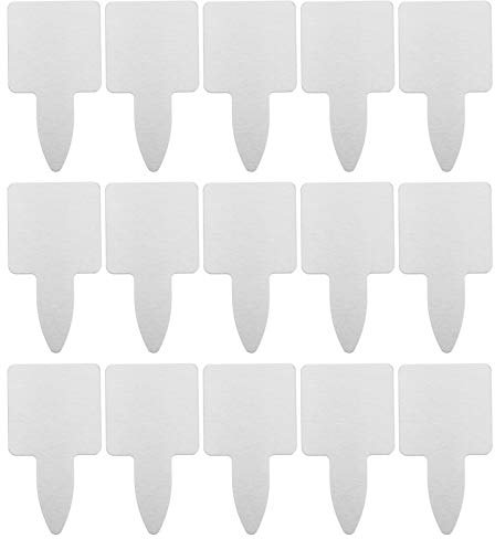 Cabilock 50 Stücke Edelstahl Pflanzenschilder Pflanzenetiketten Kräuterschilder Pflanzenstecker Gartenstecker wasserdichte Schilder Kindergarten Marker für Garten Pflanzen Blumen Silber