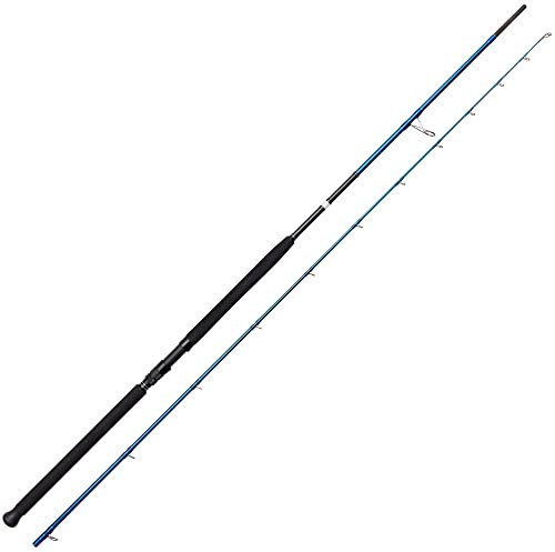 Savage Gear SGS2 Shore Jigging 2,90m 20-80g - Spinnrute, Angelrute für das Fischen an der Küste, Meeresrute