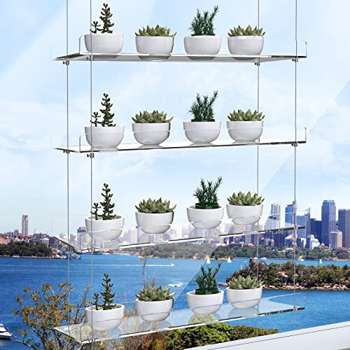 ZerzSemp Estantes acrílicos colgantes para ventanas, altura ajustable, transparente, para colgar en la pared, soporte para plantas para cultivar hierbas, flores