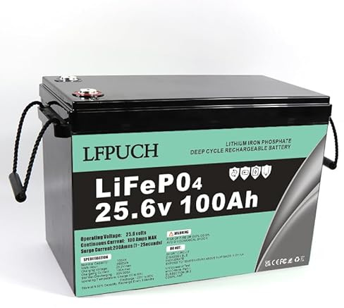 Leisure Batteria，Batteria LiFePO4 24V 100Ah, batteria al litio ferro fosfato invece della batteria AGM per auto o batteria a ciclo profondo, adatto per impianti fotovoltaici, campeggio, ecc.