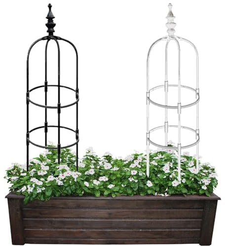 Obelisco da giardino per piante rampicanti, traliccio in metallo 60 cm, 90 cm, 120 cm, 150 cm, 180 cm, supporto antiruggine per rose nero/bianco (colore: bianco Dimensioni: 20 x 60 cm/7,9 x 24 pollici