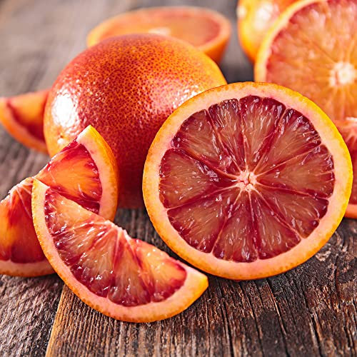 YouGarden Citrus Blood Orange Fruit Tree, Established in a 4 Litre Pot, Approximately 80cm Tall, Great for Pot Growing, Mediterranean UK Gardening