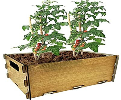 PLANTAWA Kit de Siembra para Tomates, Kit de Cultivo para Huerto Urbano, Jardinera Interior para Casa, Kit Cultivo de Plantas Naturales Tomates Frescos