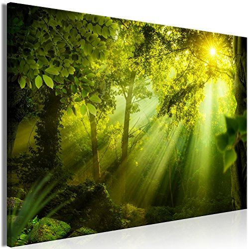 murando - Quadro Acustico Foresta Bosco 1 pezzo schiuma acustica Quadri Moderni Camera da Letto Matrimoniale - Stampa su Tela - Pannelli Fonoassorbenti Decorativi - Fonoassorbente