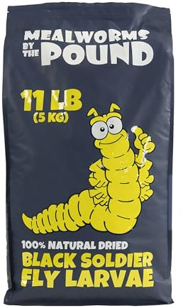 Dried Black Soldier Fly Larvae (11 lbs) - More Calcium Than Mealworms - Treats for Chickens, Wild Birds, & Reptiles