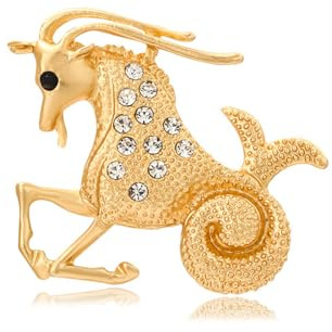 JINZIJINYU Broche En Strass Broche Du Zodiaque En Cristal De Diamant Pour Femmes Strass Épingle Animal Boucle De Vêtements Accessoires De Vêtements Capricorne