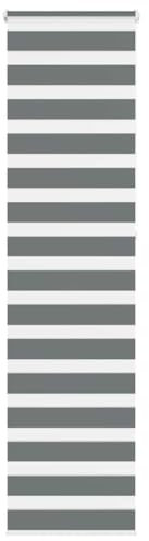 vidaXL Zebrarollo Dunkelgrau 55x230 cm Stoffbreite 50,9 cm Polyester, Zebra-Rollo, Doppelrollo, Zebra-Jalousie für Fenster, Doppelrollo, Zebra-Rollo