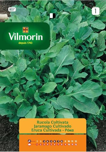 Semi Rucola Coltivata S1-807 10 Gr, Confezione 10 bustine.