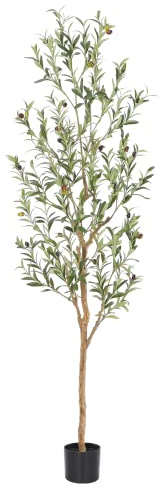 Bellacat Faux Olive Tree 6ft，Olive Trees Artificial Indoor with Natural Wood Trunk and Realistic Leaves and Fruits. 6 Feet(72in) Fake Olive Tree for Home House Office Décor.