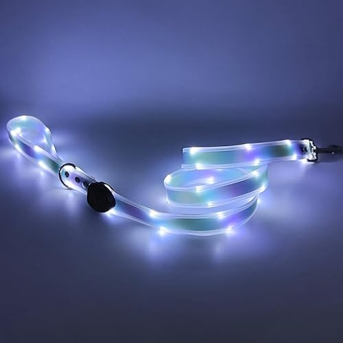 LWBMG Guinzaglio per cani a LED, 3 modalità di illuminazione, ricaricabile da 1,2 m, per passeggiate notturne, guinzaglio in silicone per cani di taglia piccola, media e grande che camminano di notte