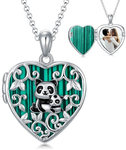 Collier médaillon en forme de cœur pour femme - En argent sterling 925 - Motif patte de chien/fleur/croix - Collier pour cendres - Fleurs - Médaillon avec images - Cadeau pour femme et fille, Argent