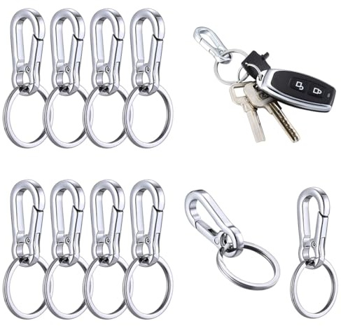 DIFLAX 10 Piezas Mosquetón Llavero, Acero Inoxidable Mosquetón, Plata Mosquetón, Mosquetón Pequeño, Para Mochilas, Coches, Escalada, Gancho Llavero (Plata)