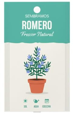 DECOALIVE Semillas de Romero para Cocina Mediterránea y Jardinería en Casa