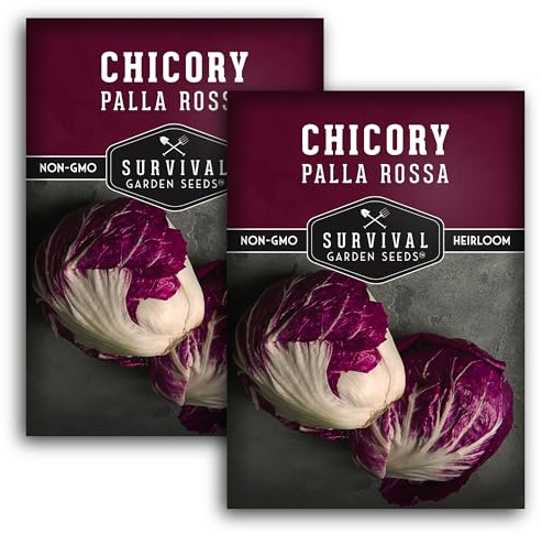 Survival Garden Seeds - Palla Rossa Chicory Seed for Planting - 2 Packets with Instructions to Plant & Grow Red Radicchio in Your Home Vegetable Garden - Non-GMO Heirloom Vegetable