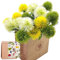 SNAIL GARDEN 15Pcs Artificial Dandelion, Artificial Flowers Plants Bouquet with 1 Vase Kraft Paper Bag-Plastic Shrubs Brushes Plant Fake Grass for Indoor Outdoor(White,Yellow,Green)