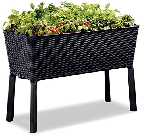 Keter Easy Grow modernes Hochbeet, grau, inkl. Bewässerungssystem, Rattanoptik, passend für Balkon, Terrasse oder Garten