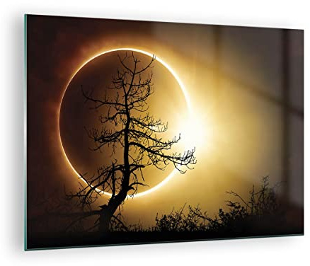 Bilder auf Glas Sonnenfinsternis die Sonne Baum Glasbild 70x50cm Wandbilder Dekoration Wohnzimmer Schlafzimmer Küche Deko Klein Wanddeko Bild im Glas Wand Kunstdruck Art Modern GAA70x50-4349