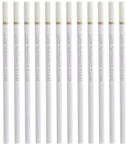 White Charcoal Pencils, Charcoal Pencils Set for Drawing,Set for Artists Highlight Sketch for Art Craft Drawing Sketching