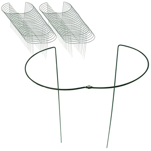50x Pflanzenstütze rund Ø30cm 100cm hoch 5mm Draht Blumenhalter Stütze grün