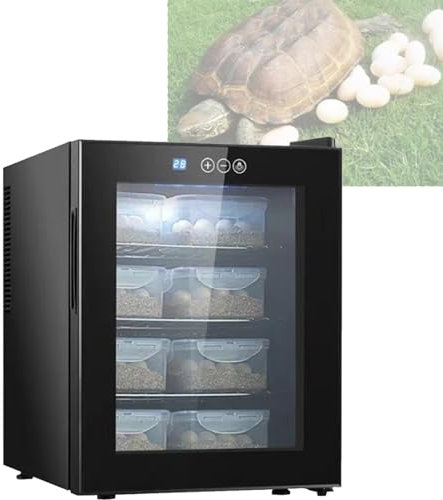 Incubatrice per rettili, scatola termostato per raffreddamento e riscaldamento incubatrice da laboratorio scientifico, osservazione LED digitale, per rettili camaleonte lucertola tartaruga,48L