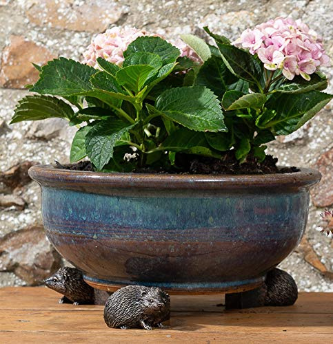 Potty Feet Lot de 3 pieds en forme de hérisson pour pot de fleurs - Décoration faite à la main