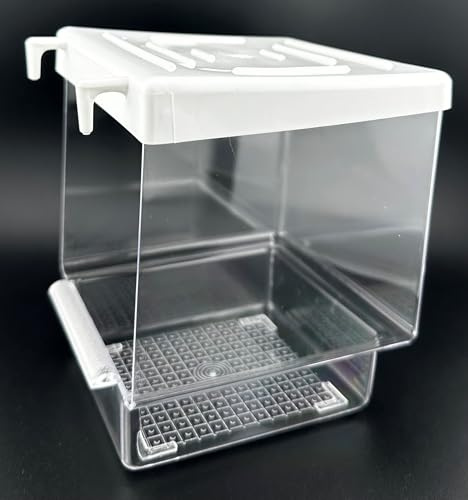 MECANHOR - Vasca da Bagno Equator per Uccelli, Colore: Bianco