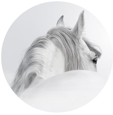 DEQORI Carta da parati rotonda autoadesiva Ø 80 cm | motivo cavallo andaluso | tela tessile – staccabile, decorativa e indeformabile – per soggiorno, ufficio, corridoio o cameretta dei bambini