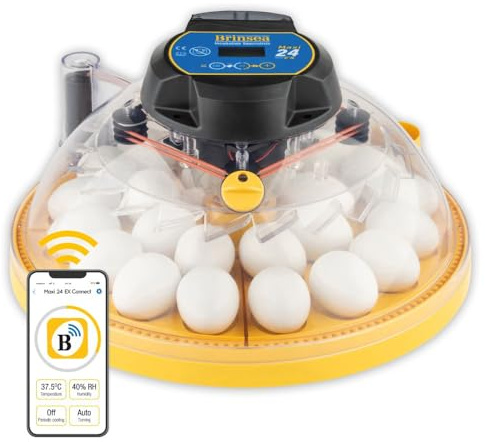 Brinsea Maxi 24 EX Connect Full-featured App Controlled 24 Hen Egg Incubator