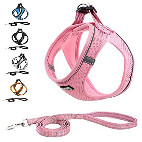 Hundegeschirr Katzengeschirr mit Leine, Anti Zug Geschirr Reflektierend Brustgeschirr für Kleine Hunde, Haustiere, Welpen, Katzen, Verstellbar Sicherheitsgeschirr-Rose||XXS (24-28 cm)