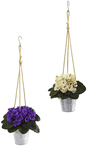 21” African Violet Plant in Hanging Bucket (Set of 2)
