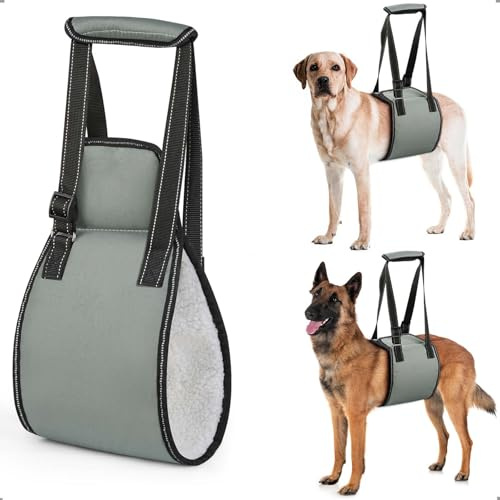OHCOZZY Imbracatura per Cani con Maniglia, Pettorina Cane Taglia Regolabile per la Riabilitazione, Morbido Supporto per Le Zampe Posteriori per Cani Anziani, feriti, disabili,M