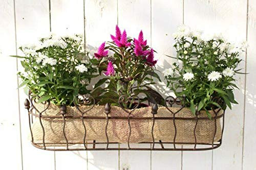 Manufaktur Lichtbogen Pflanzkorb für die Wand 67 cm breit Wandkorb aus Metall