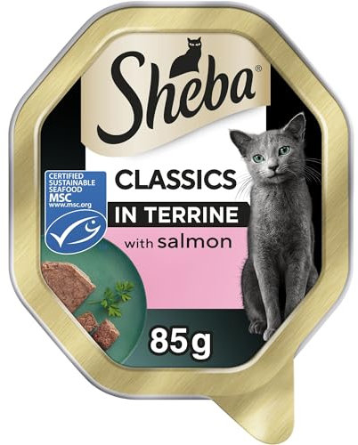 Sheba Classics Cat Food Tray with Salmon in Terrine 2x11x85g