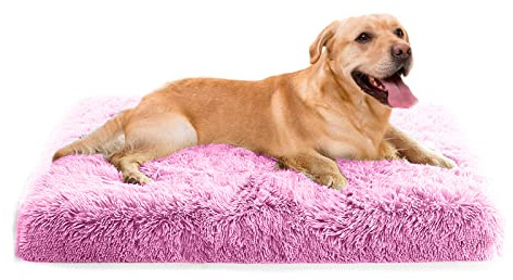 PETCUTE Hundsäng, avtagbar hundkudde, tvättbar hundkorg med halkfri botten, bekväm hundmadrass lämplig för katter, hundar, husdjurssäng