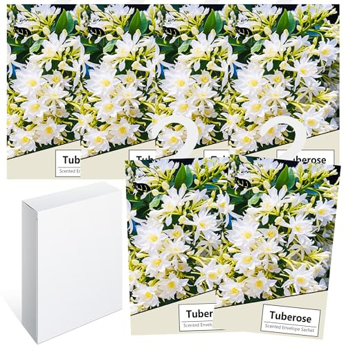 Lot de 6 parfums de linge, désodorisants d'armoire, parfum d'armoire, sac de parfum frais, penderie, parfum, sac suspendu, déodorant d'armoire, parfum naturel, sac (6 ombres de nuit)