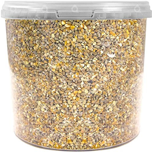 SQUAWK Chicken Corn Extra | Premium Grade Poultry Feed | Nutritious Oyster Shell, Layers Pellets, Fibre Wheat & Split Maize | High Energy, Protein-Rich Food Mix | Perfect Year-Round Seed (1L Tub)