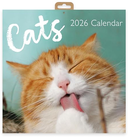 Cats 2026 Square Wall Calendar | Monthly Planner with Adorable Cat & Kitten Photography | Cute Pet Calendar