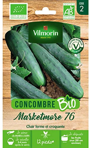 Vilmorin Sachet graines Concombre Marketmore 76 Bio - Cucumis sativus