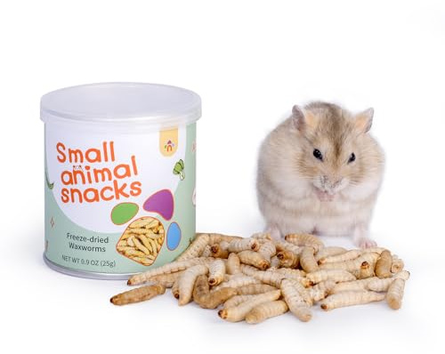 Niteangel Small Animal Snack & Treats - Freeze-Dried Worms & No Additive