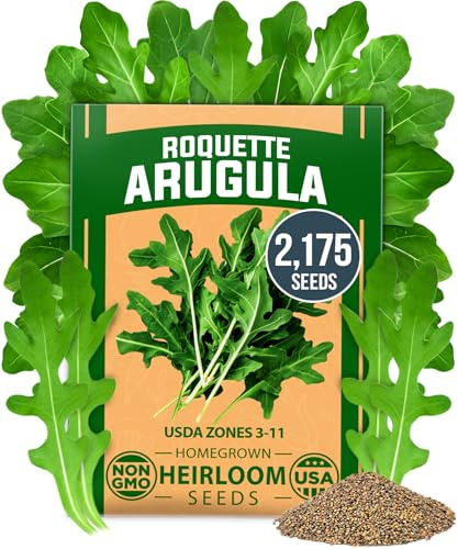 HOME GROWN Non GMO Arugula Roquette Seeds Pack 2,175 Heirloom Arugula Seeds for Planting Best for Outdoor Gardens,Providing Fast-Growing Greens for Salads - Eruca vesicaria