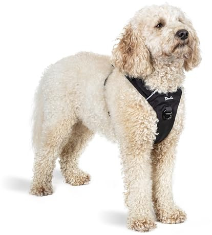 Mikki Doodles Harness for Dogs, Puppies, Adjustable, Quick Release Buckles, Allows Free Movement, Lead Attachment Points on Back & Chest, Can be Used with Double Lead, Reduces Pulling, Medium