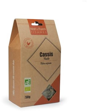 Nat & Form Tisana Ribes Nero Bio 50 g