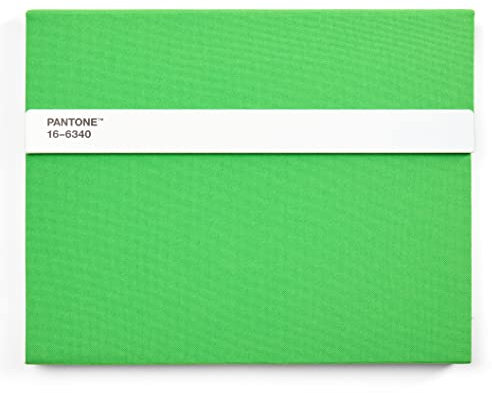 Pantone Notizbuch unliniert, mit Stift und Lineal, 160 Seiten, Außenbemaßung LxBxT 240 x 190 x 20 mm, Green 16-6340