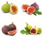 feigenbaum winterhart feigen samen - Ficus carica - bäume winterharte stauden winterharte kübelpflanzen balkon beet kräutergarten geschenk wanddeko pflanzen 20 Stück