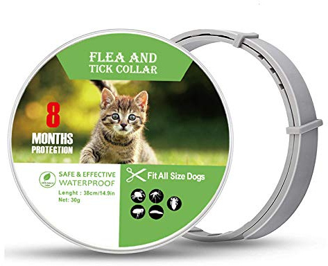 Collier Anti-puces et Anti-tiques pour Chiens et Chats,Traitement Contre Les tiques Contre Les puces pour Chien et Chat,Étanche Naturel Sûr Taille réglable,Protection de 8 Mois(Petit)