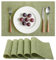 Un juego de 6 manteles individuales de vinilo lavables, tejidos, lavables, antideslizantes, resistentes al calor, cocina, mesa de comedor, hotel, mantel individual de 30 x 45 cm (verde)